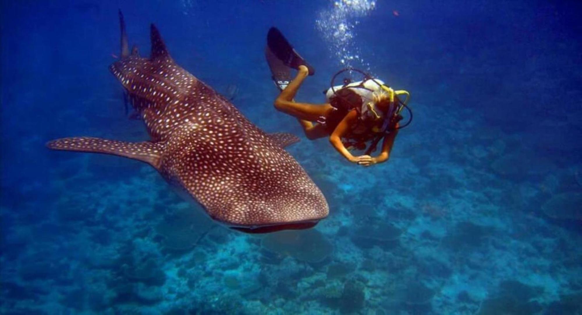 Batuta Maldives Fourson Hotel Thulusdhoo Kültér fotó